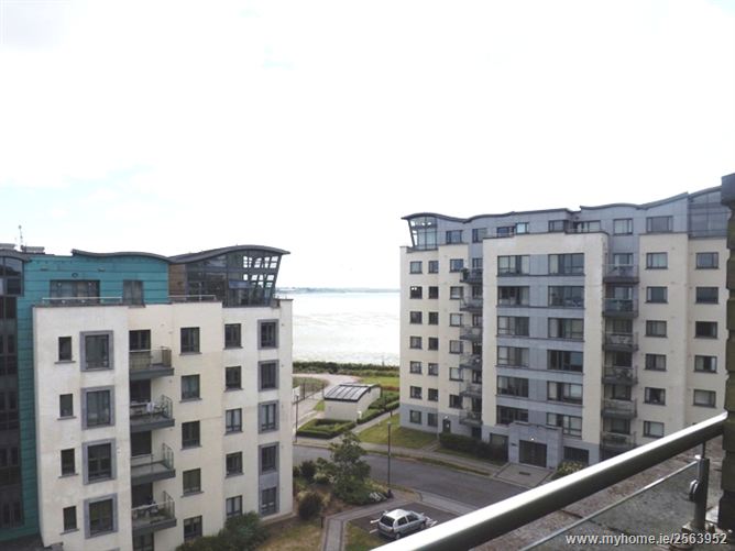 The Falcon, Jacobs Island, Cork