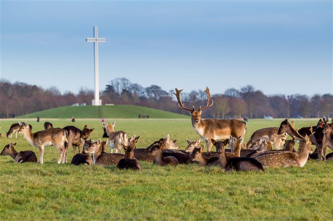 13 Aberdeen Street, North Circular Road, Dublin 7