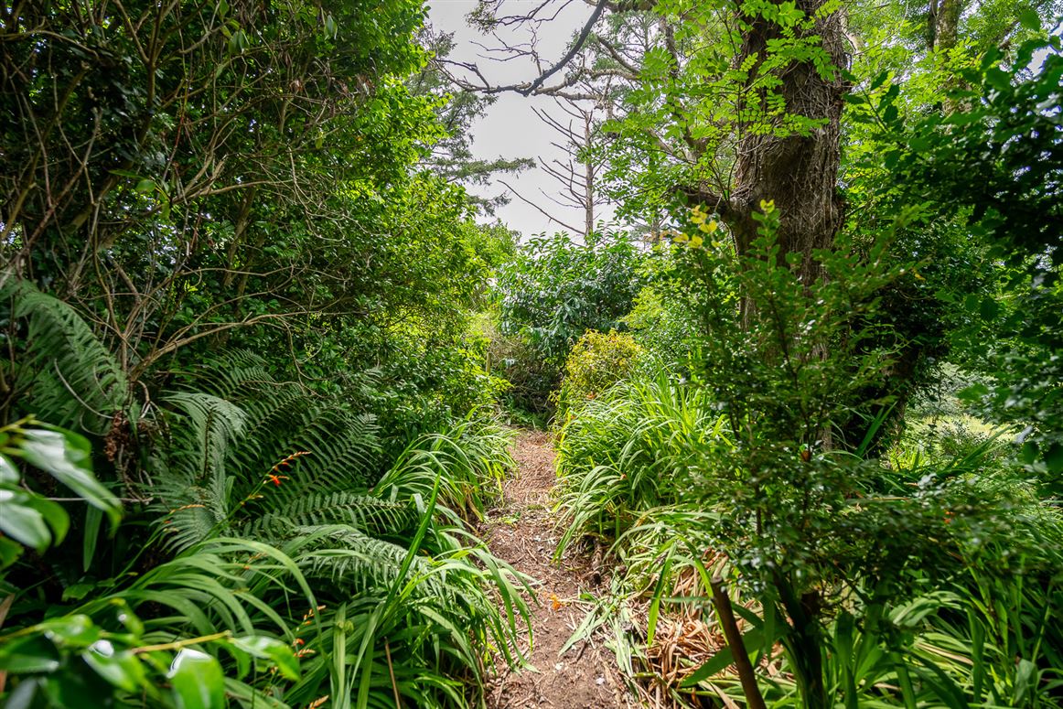 Blackthorn Cottage, Ballycarnahan, Caherdaniel, Co. Kerry