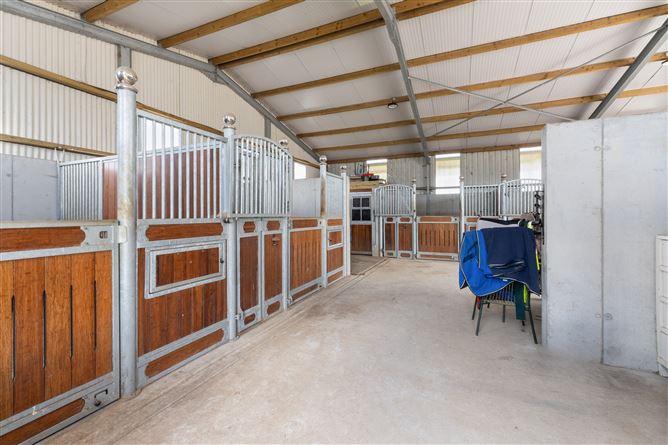 Curhoor, Killeenadeema, Loughrea, Galway