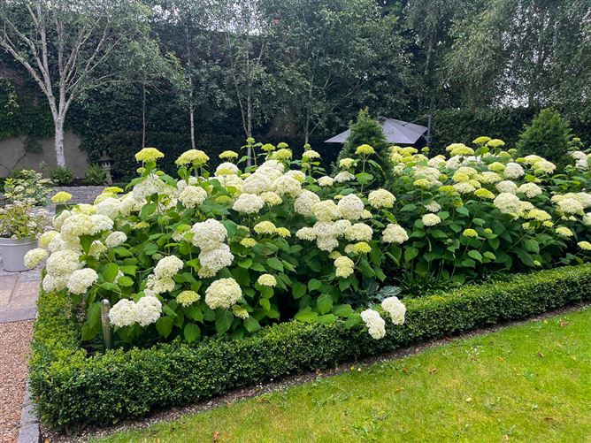 Cambridge House, 31 Sandycove Road, Sandycove, County Dublin