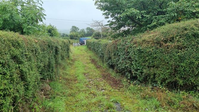 Knockaraheen, Virginia, Co. Cavan