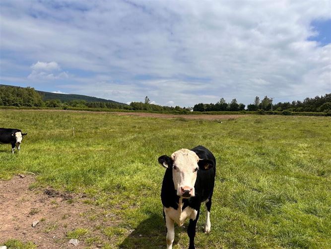 Clonmore, South, Cahir, Tipperary