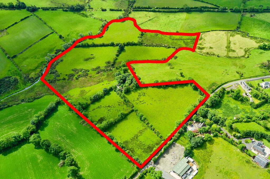 Derelict Cottage And Land, Ballydurrow, Ryefield, Virginia, Cavan