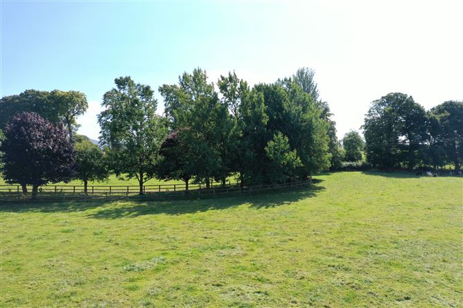 Beechfield House On c. 34 Acres / 13.8 HA., Rathballylong, Blessington, Wicklow