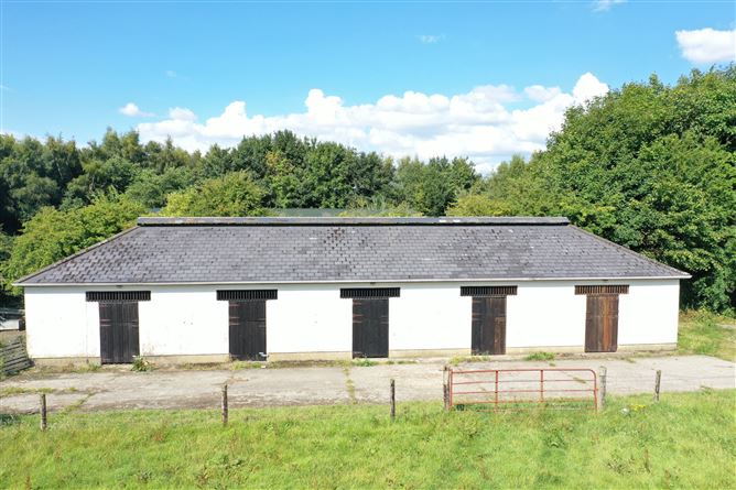 Beechfield House On c. 34 Acres / 13.8 HA., Rathballylong, Blessington, Wicklow
