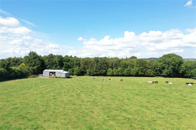 Beechfield House On c. 34 Acres / 13.8 HA., Rathballylong, Blessington, Wicklow