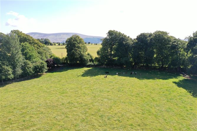Beechfield House On c. 34 Acres / 13.8 HA., Rathballylong, Blessington, Wicklow