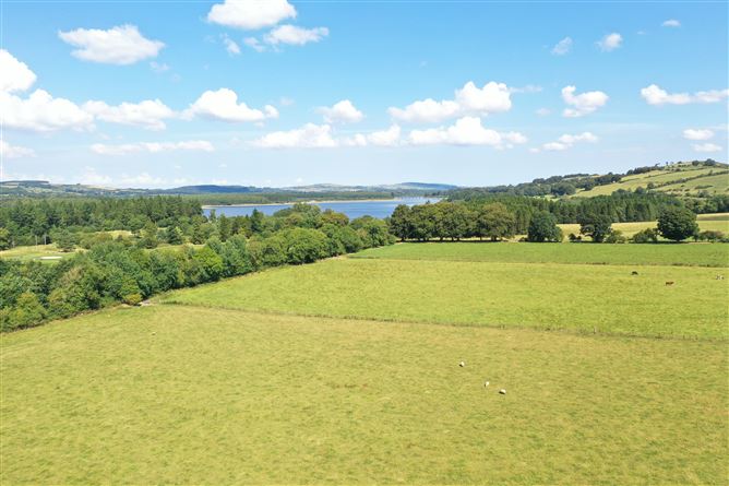 Beechfield House On c. 34 Acres / 13.8 HA., Rathballylong, Blessington, Wicklow