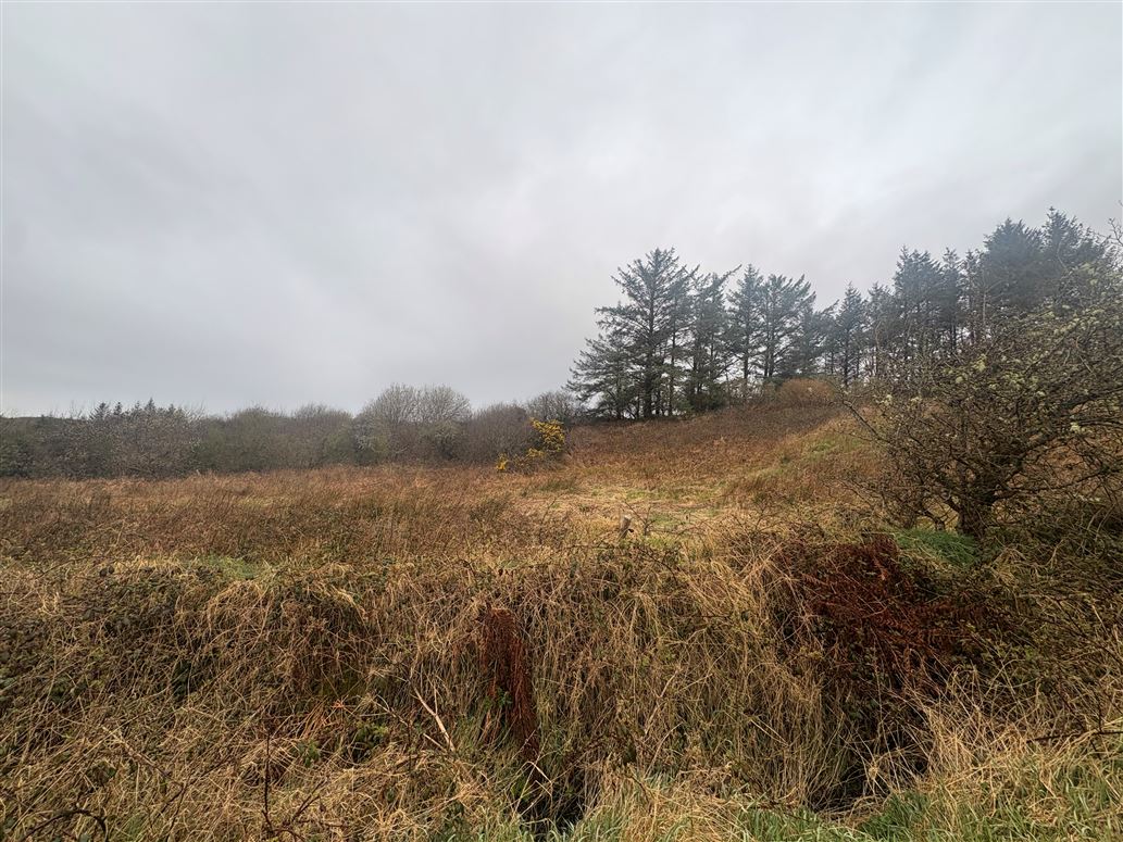 Slievenagry, , Kilshanny, Clare