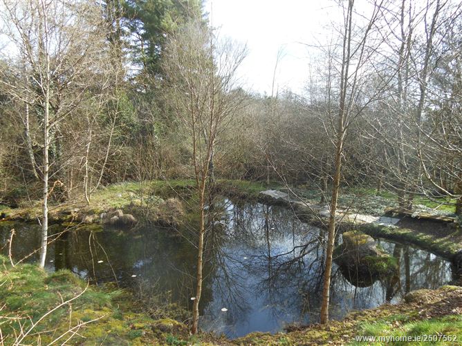 Clonfadda, Macroom, Cork