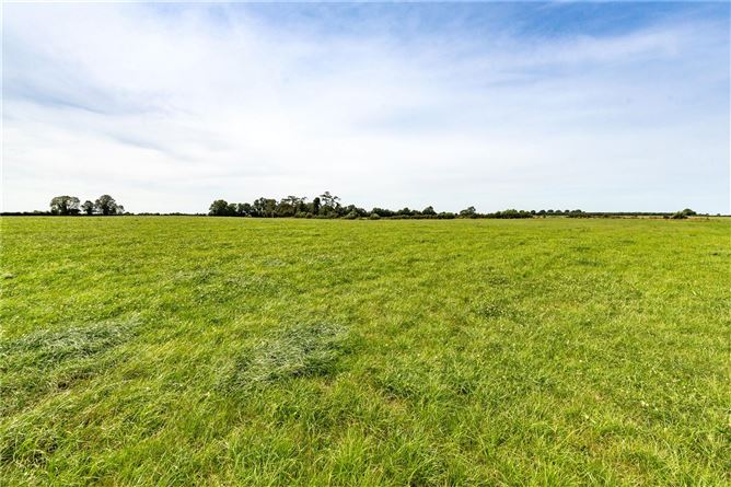 Kilree Estate, Kilree, Co. Kilkenny
