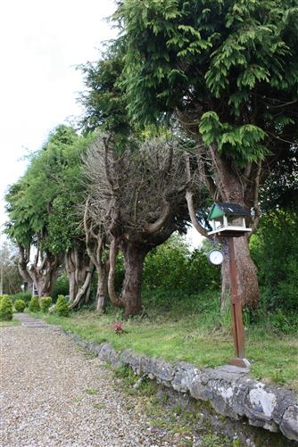 Photo 25 of 30 — 'Stone Cottage', Loughrea, Galway