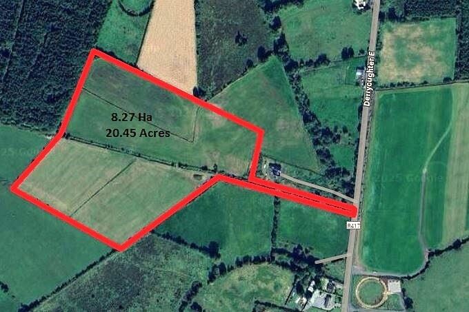 20.45 Acres / 8.276 Hectares, Derryoughter East, Kildangan, Co. Kildare