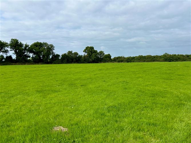c. 61 Acres, Cooltrim, Donadea, Kildare