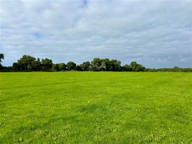 c. 61 Acres, Cooltrim, Donadea, Kildare