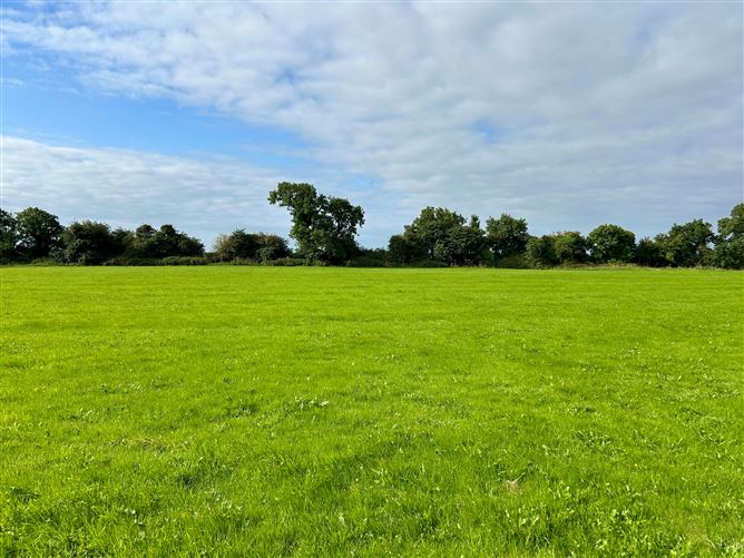 c. 61 Acres, Cooltrim, Donadea, Kildare