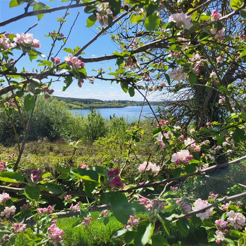 Photo 21 of 108 — Aroddy Foxfield, Gorvagh, Leitrim