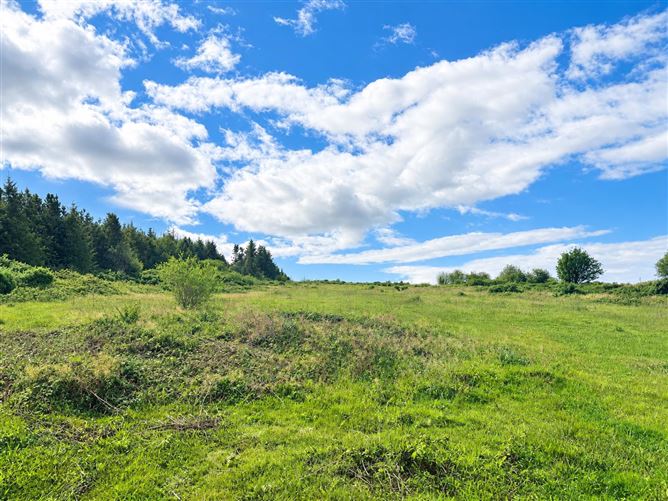 C. 3 acres Forestry Road, Barntown, Wexford