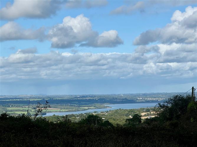 C. 3 acres Forestry Road, Barntown, Wexford