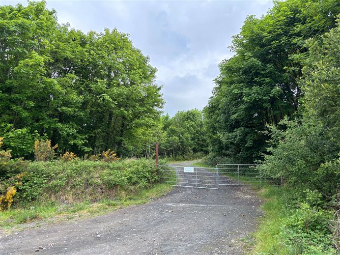 Project West Forestry, Clare, Co. Clare