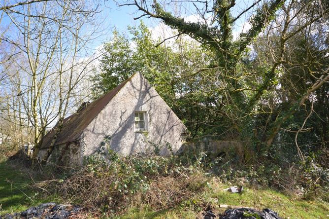 Toberpatrick, Tinahely, Wicklow