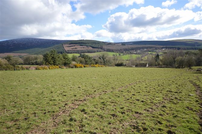 Toberpatrick, Tinahely, Wicklow
