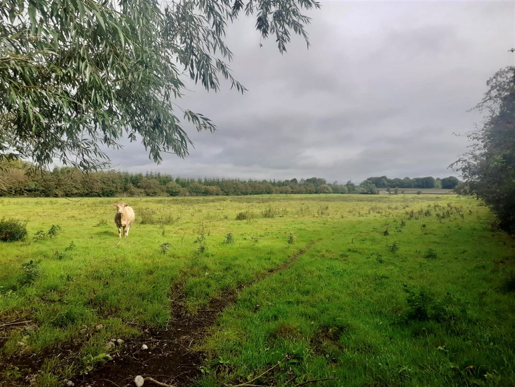 c. 8 Acres, Eagle Hill, Suncroft, Curragh, Kildare Jordan Town and
