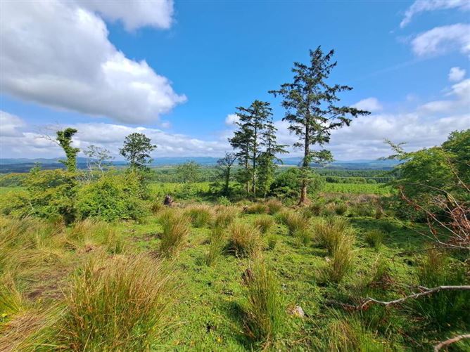 Tullynascreen, Dromahair, Leitrim
