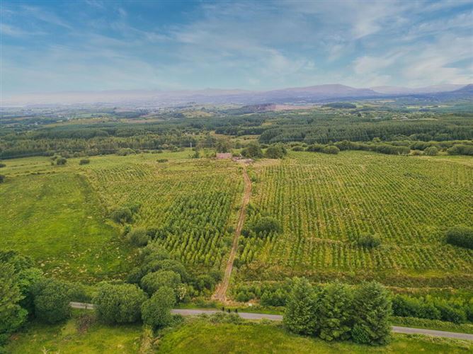 Tullynascreen, Dromahair, Leitrim
