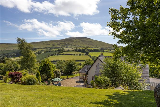 Photo 40 of 52 — Radharc an TSléibhe, Knockroe, Borris, Co. Carlow
