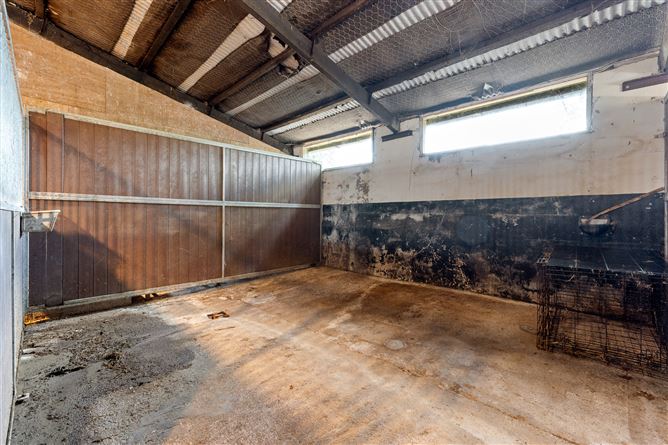 Photo 93 of 161 — Stonehill Stud Farm, Ballinvarosig, Carrigaline, Cork