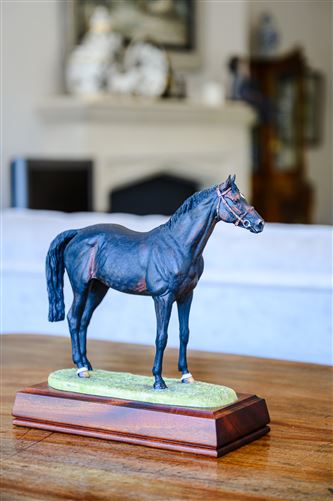 Photo 39 of 161 — Stonehill Stud Farm, Ballinvarosig, Carrigaline, Cork