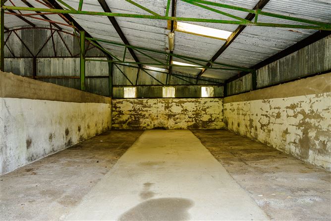 Photo 110 of 161 — Stonehill Stud Farm, Ballinvarosig, Carrigaline, Cork