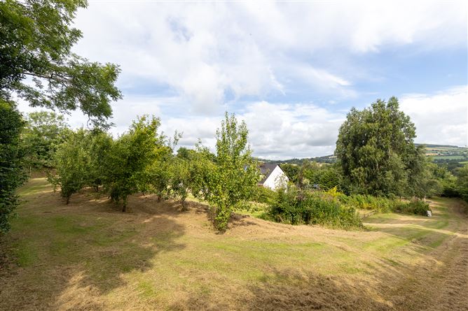Beskid, Garryhasten, Clonegal, Co. Wexford, Clonegal, Wexford