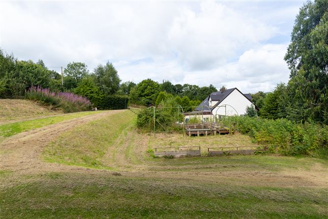 Beskid, Garryhasten, Clonegal, Co. Wexford, Clonegal, Wexford