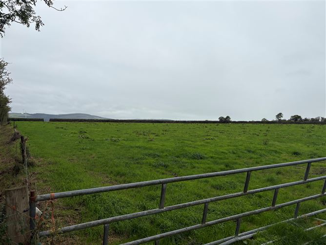 Coolygorman, Broadford, Limerick