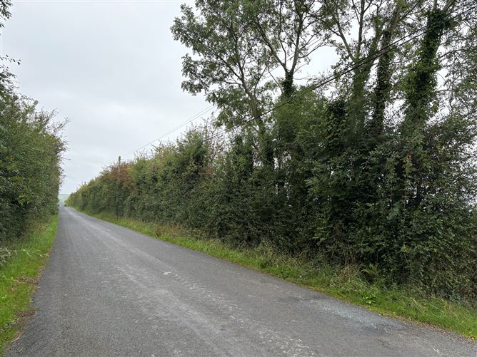 Coolygorman, Broadford, Limerick