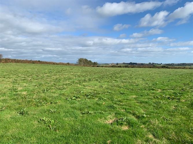 Kilruane, Rosscarbery,   West Cork