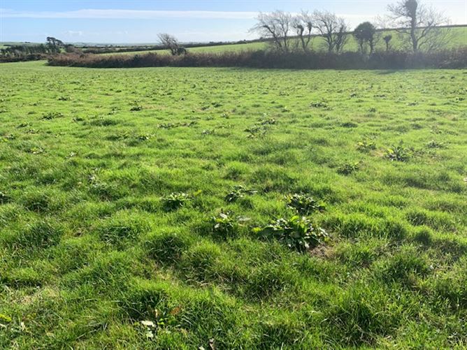 Photo 3 of 9 — Kilruane, Rosscarbery,   West Cork