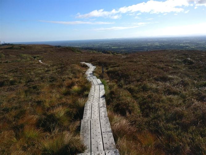 Site 1 Acre Approx., Ross, Ballyfin, Co. Laois