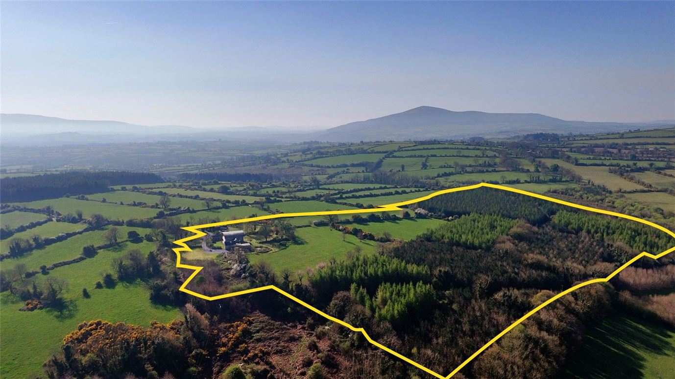 Mount Coggill, Griffinstown, Borris, Co. Kilkenny