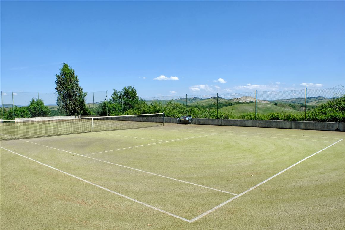 Campanella Rose,Asciano, Tuscany, Italy