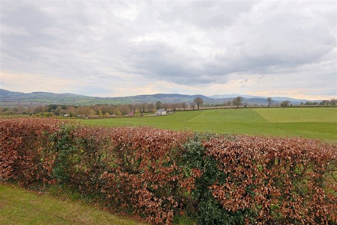 Tanassy, Croneyhorn Upper, Carnew, Wicklow