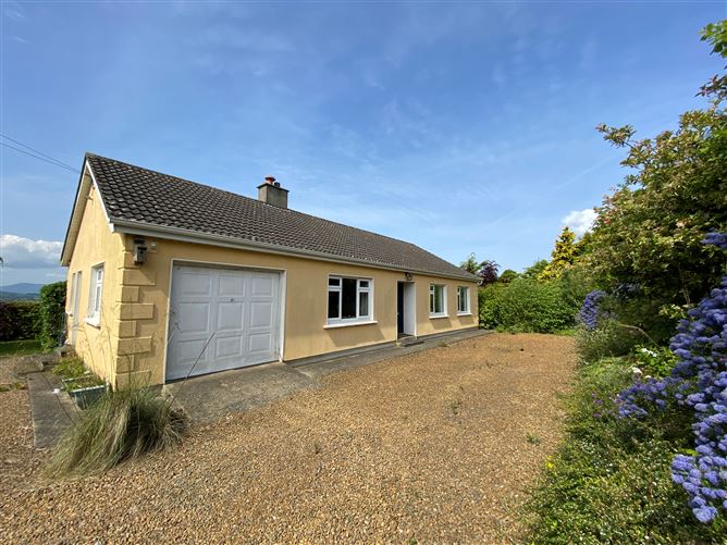 Tanassy, Croneyhorn Upper, Carnew, Wicklow