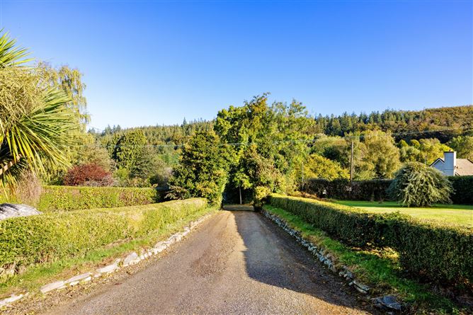 Apiary, Ballanagh, Avoca, Co. Wicklow