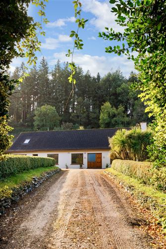 Apiary, Ballanagh, Avoca, Co. Wicklow