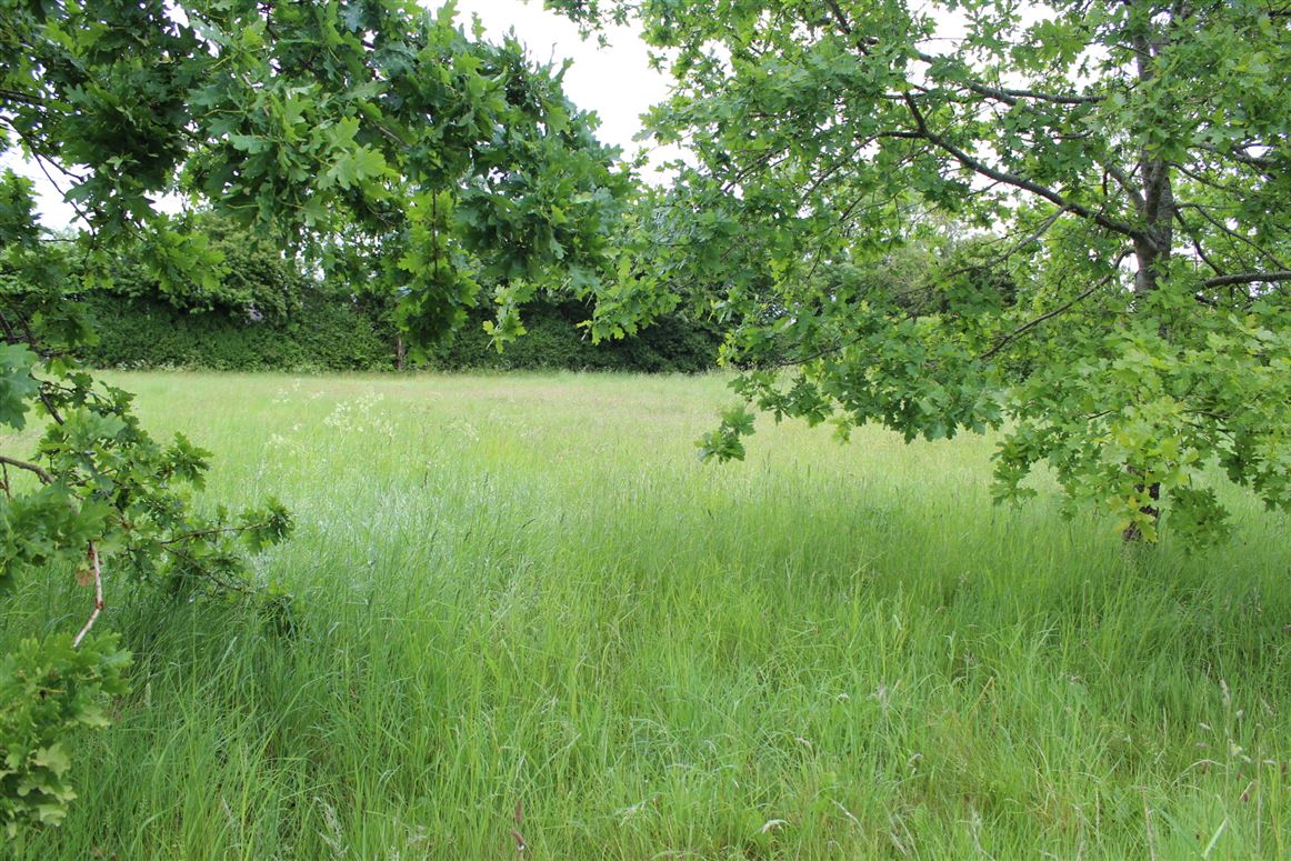 0.75 Acre Site Slyguff, Slyguff, Bagenalstown, Co. Carlow
