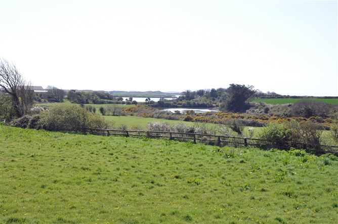 7 Rectory Grove, Duncormick, Wexford