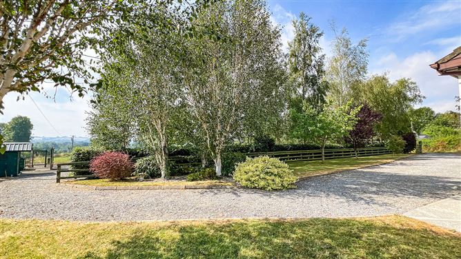 https://photos-a.propertyimages.ie/media/2/7/5/5018572/ce24dbef-ce46-4f72-b71e-deff2c337b0a_l.jpg